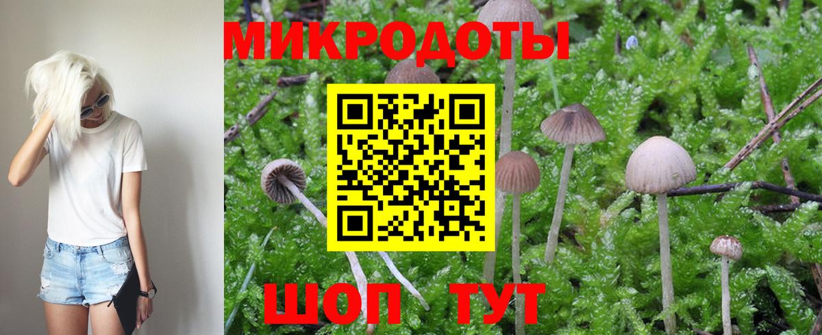 Лесосибирск  Галлюциногенные грибы Cubensis  Вход с VPN 
